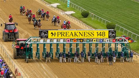 preakness betting odds|2024 Preakness: Betting guide on horses entries list, field .